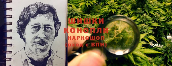 таблы Богородицк
