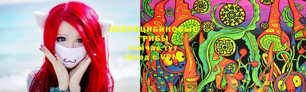 гидропоника Богданович