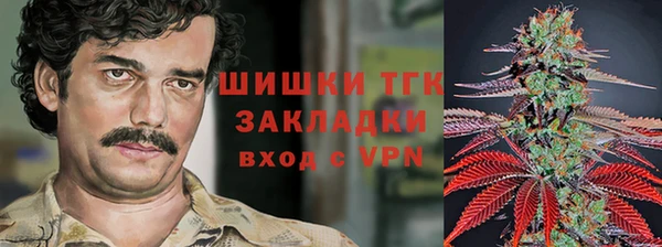 тгк Богородск