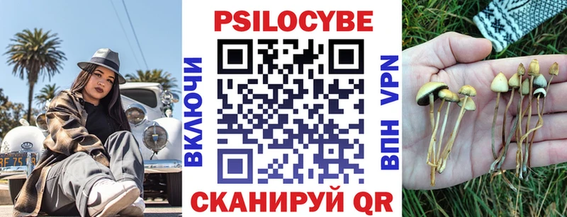 даркнет сайт  Колпашево  Псилоцибиновые грибы GOLDEN TEACHER 